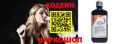 стафф Кингисепп