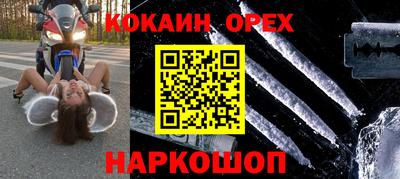 стафф Кингисепп