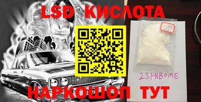 стафф Кингисепп