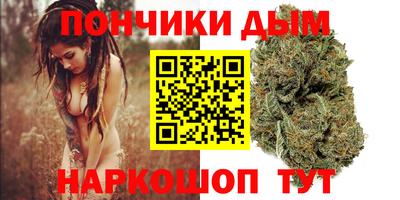 стафф Кингисепп