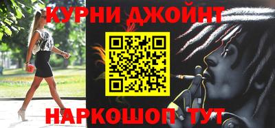 стафф Кингисепп