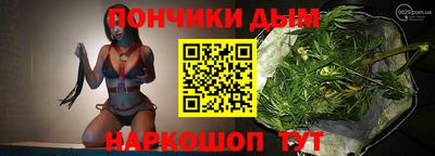 стафф Кингисепп