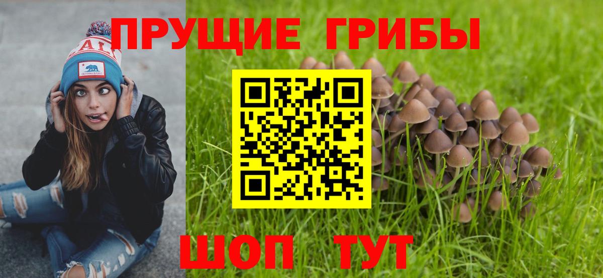 Лангепас  Галлюциногенные грибы Magic Shrooms  Вход с VPN 